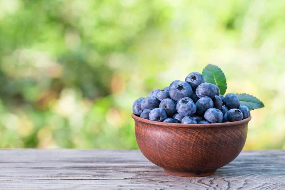 The Top 6 Blueberry Benefits for Healthy Skin!